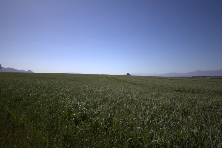 0 Bedroom Property for Sale in Paarl Rural Western Cape